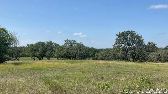 773 ANNABELLE AVE Bulverde, TX 78163