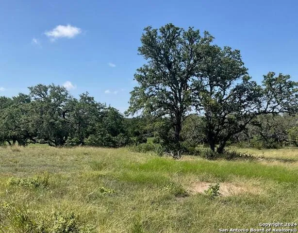 773 ANNABELLE AVE Bulverde, TX 78163