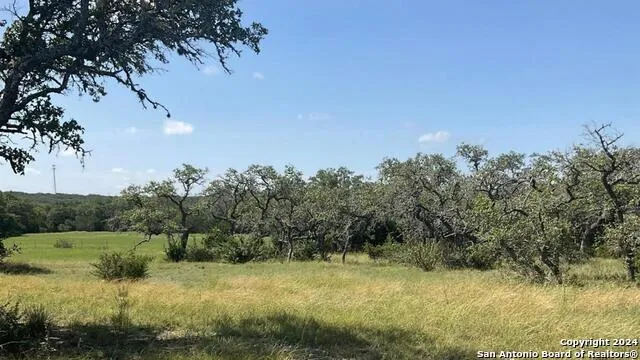 773 ANNABELLE AVE Bulverde, TX 78163