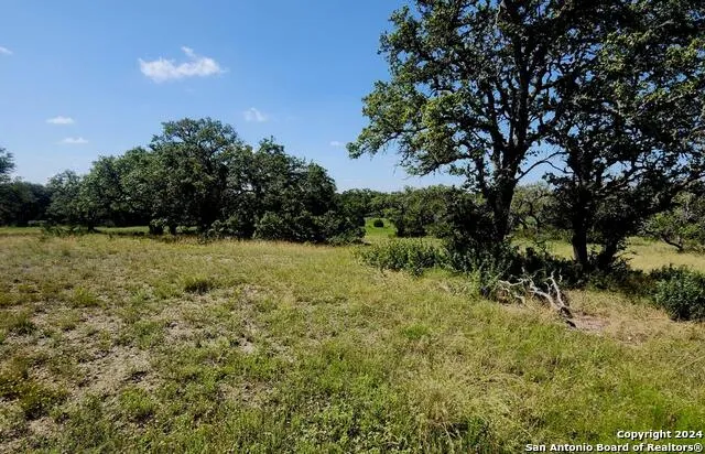 773 ANNABELLE AVE Bulverde, TX 78163