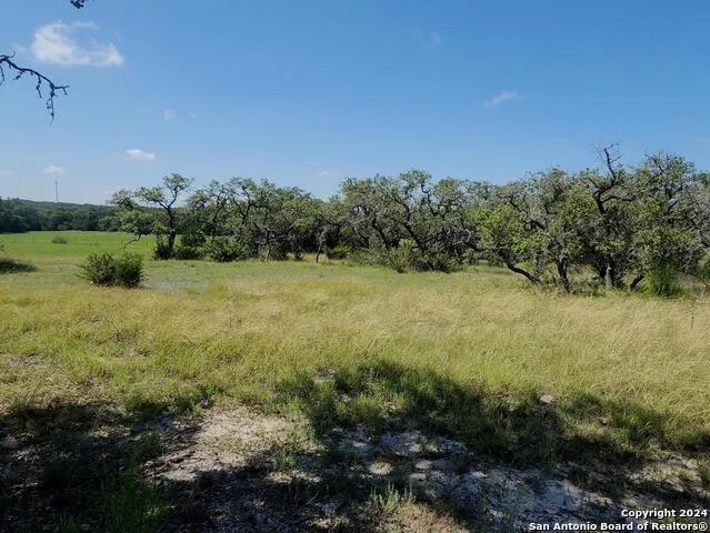 773 ANNABELLE AVE Bulverde, TX 78163