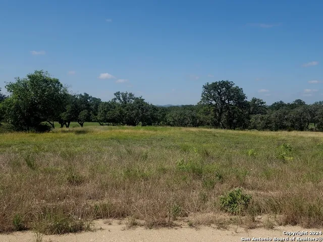 773 ANNABELLE AVE Bulverde, TX 78163