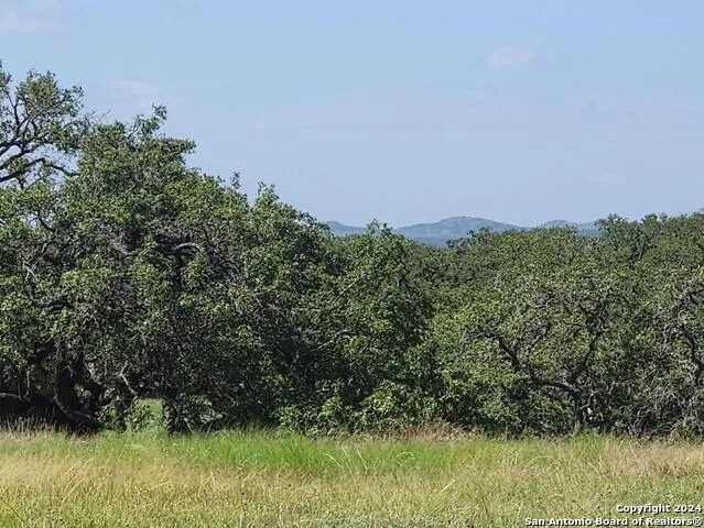 773 ANNABELLE AVE Bulverde, TX 78163