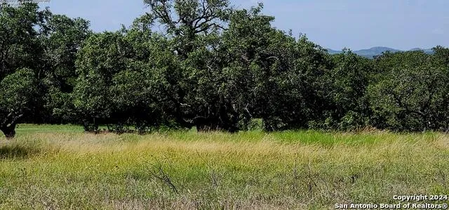 773 ANNABELLE AVE Bulverde, TX 78163