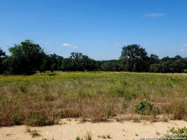 773 ANNABELLE AVE Bulverde, TX 78163