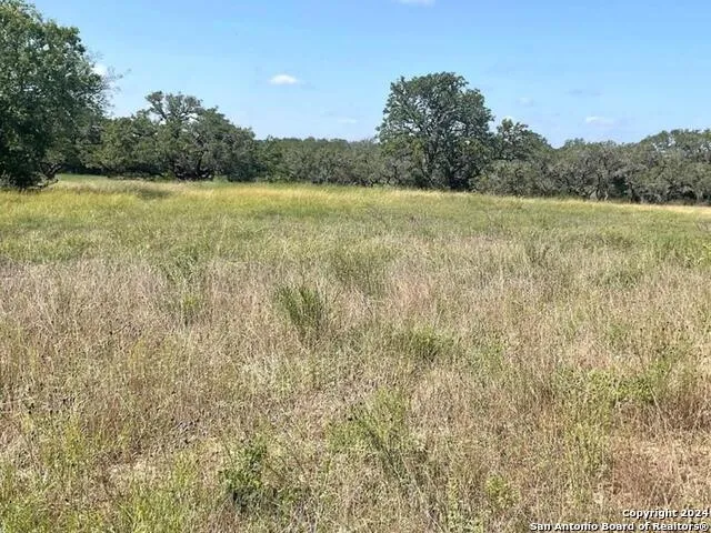 773 ANNABELLE AVE Bulverde, TX 78163