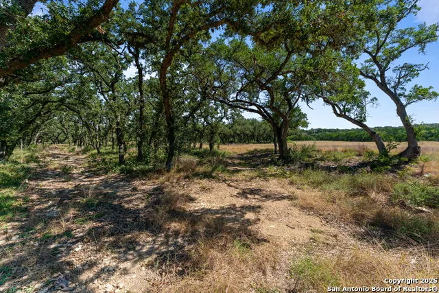 1131 Adyson Ridge Bulverde, TX 78163
