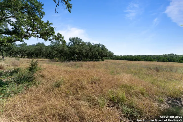 1131 Adyson Ridge Bulverde, TX 78163