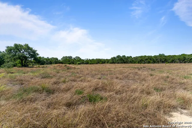 1131 Adyson Ridge Bulverde, TX 78163
