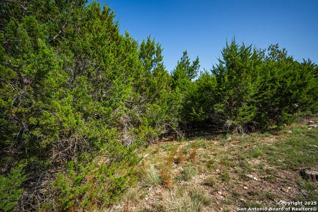 1121 Sleepy Hollow Spring Branch, TX 78070