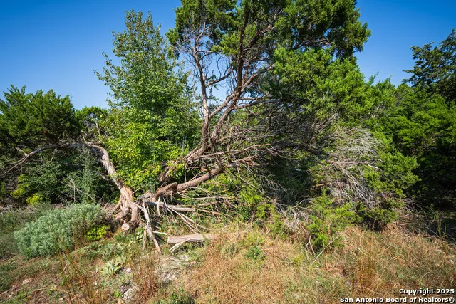 1121 Sleepy Hollow Spring Branch, TX 78070