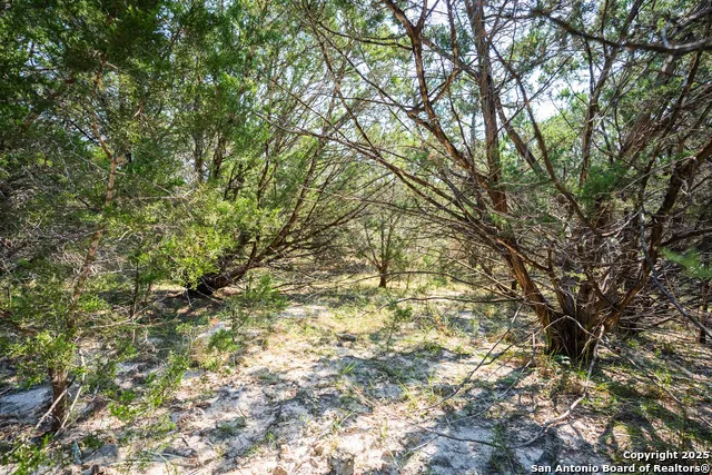 1121 Sleepy Hollow Spring Branch, TX 78070