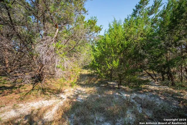 1121 Sleepy Hollow Spring Branch, TX 78070