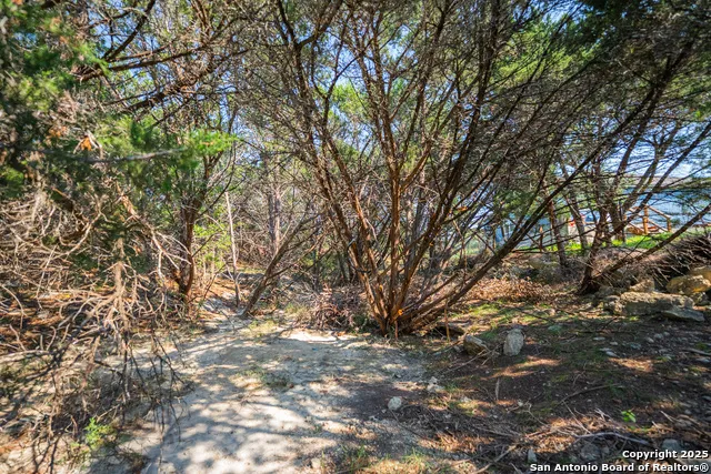 1121 Sleepy Hollow Spring Branch, TX 78070