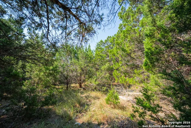 1121 Sleepy Hollow Spring Branch, TX 78070