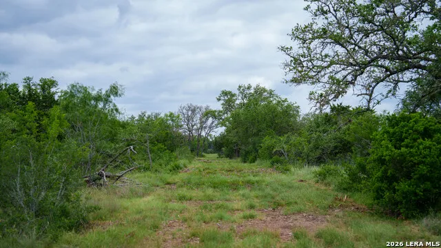 9803 FM 1796 Dhanis, TX 78850