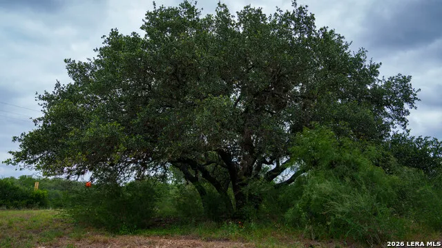 9803 FM 1796 Dhanis, TX 78850