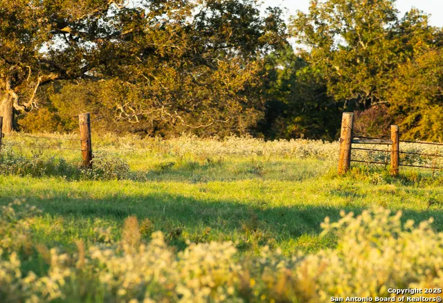 14926 county road 438 Lindale, TX 75771