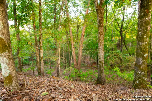 14926 county road 438 Lindale, TX 75771