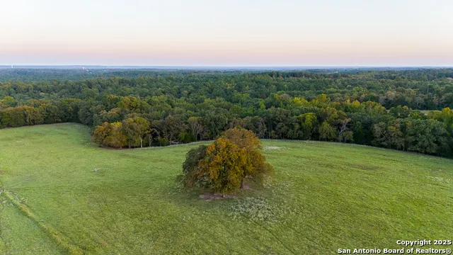 14926 county road 438 Lindale, TX 75771