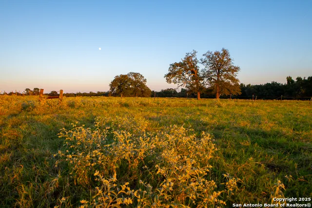 14926 county road 438 Lindale, TX 75771