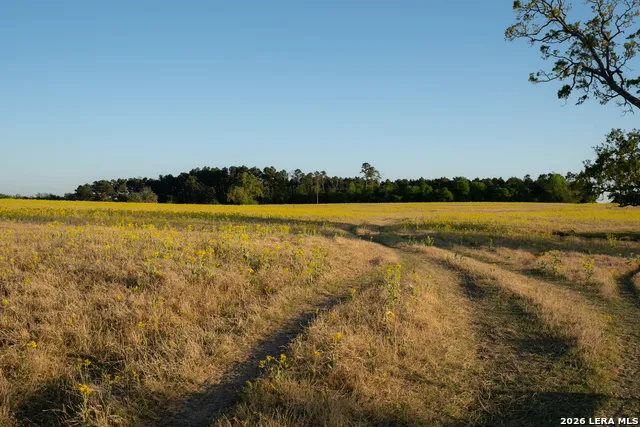 14926 county road 438 Lindale, TX 75771