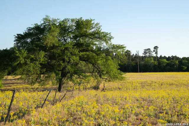 14926 county road 438 Lindale, TX 75771