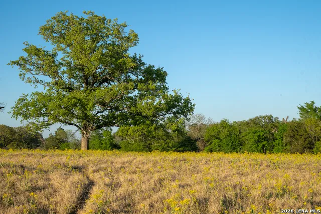 14926 county road 438 Lindale, TX 75771