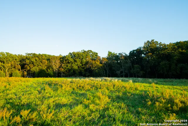 14926 county road 438 Lindale, TX 75771