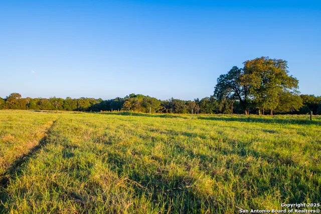 14926 county road 438 Lindale, TX 75771