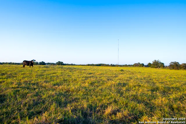 14926 county road 438 Lindale, TX 75771