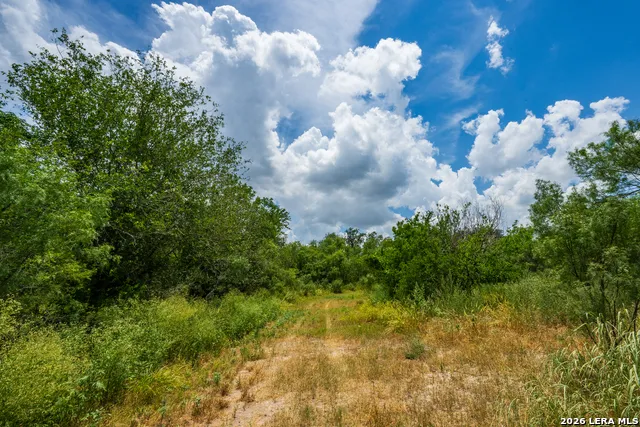 994 Marburger Crystal City, TX 78839