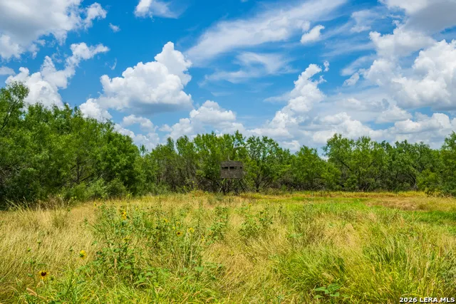 994 Marburger Crystal City, TX 78839