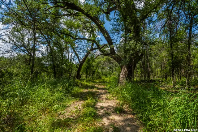 994 Marburger Crystal City, TX 78839