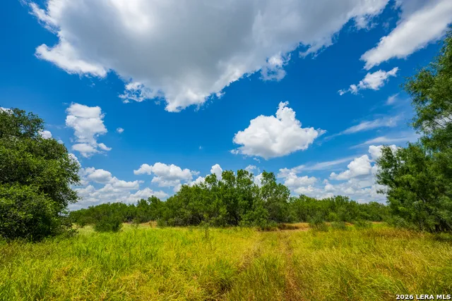 994 Marburger Crystal City, TX 78839