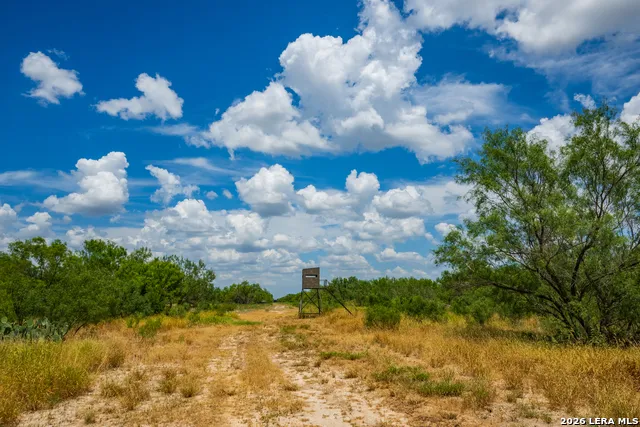 994 Marburger Crystal City, TX 78839