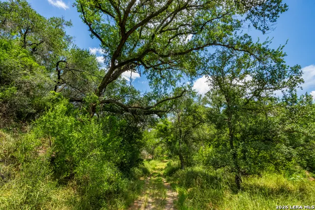 994 Marburger Crystal City, TX 78839