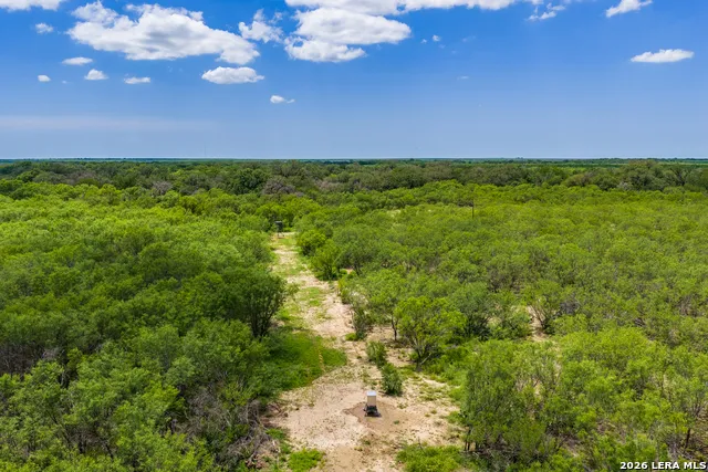 994 Marburger Crystal City, TX 78839
