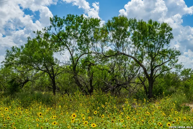 994 Marburger Crystal City, TX 78839