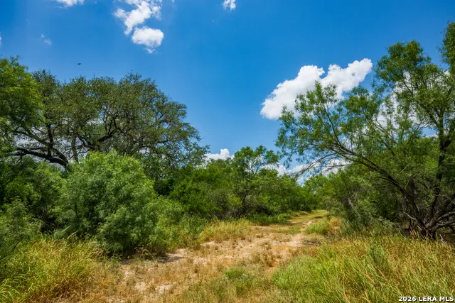 994 Marburger Crystal City, TX 78839