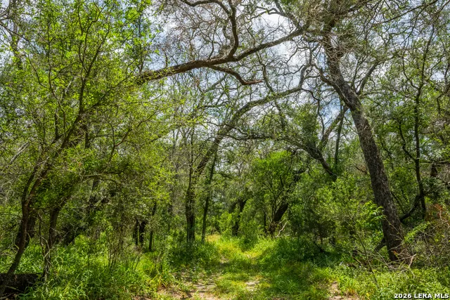 994 Marburger Crystal City, TX 78839