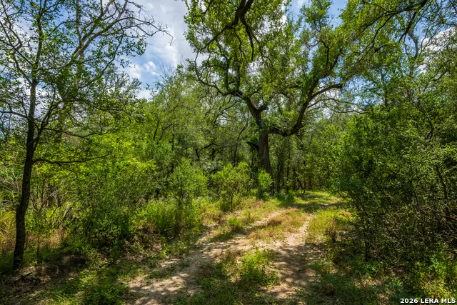 994 Marburger Crystal City, TX 78839