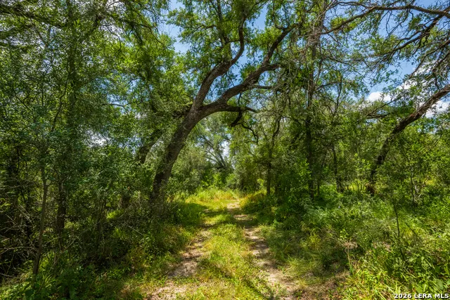 994 Marburger Crystal City, TX 78839
