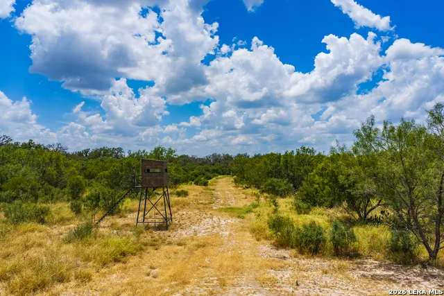 994 Marburger Crystal City, TX 78839