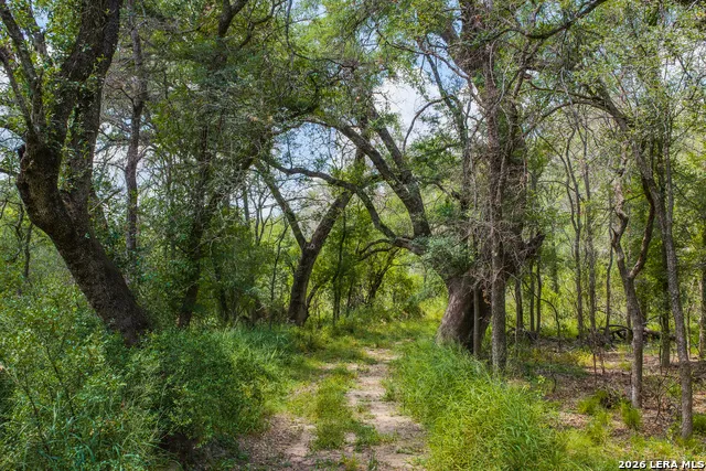 994 Marburger Crystal City, TX 78839