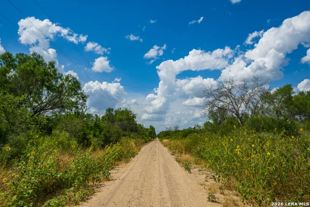 994 Marburger Crystal City, TX 78839