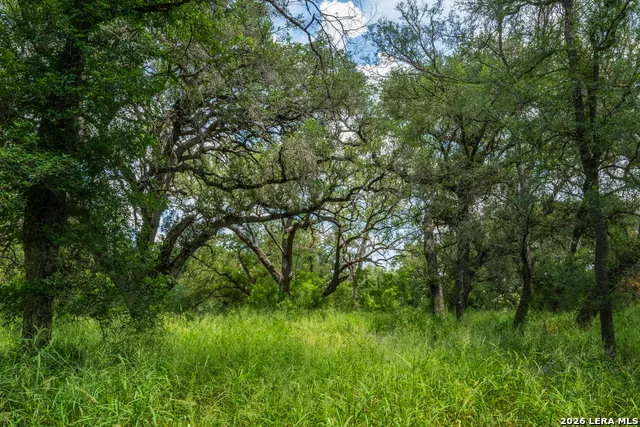 994 Marburger Crystal City, TX 78839