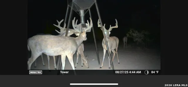 994 Marburger Crystal City, TX 78839
