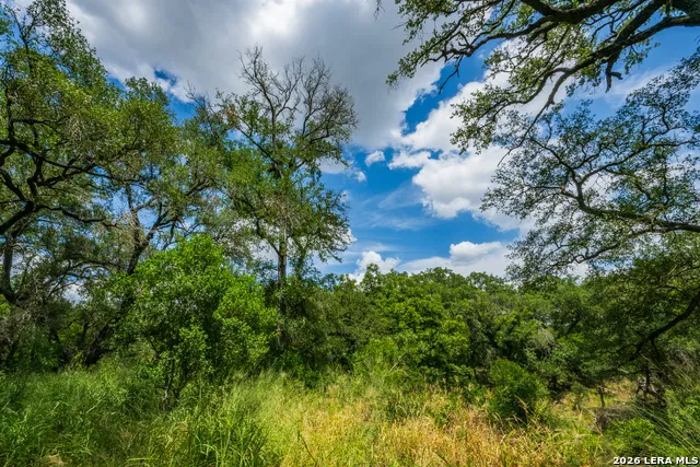 994 Marburger Crystal City, TX 78839