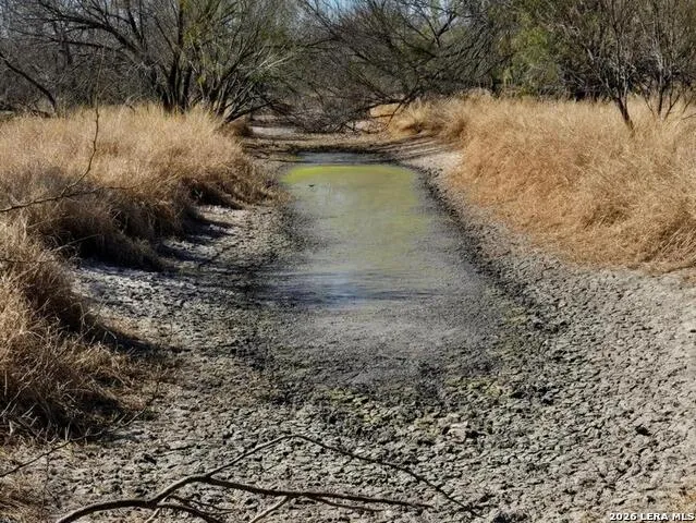 1297 Fm 1433 Carrizo Springs, TX 78834